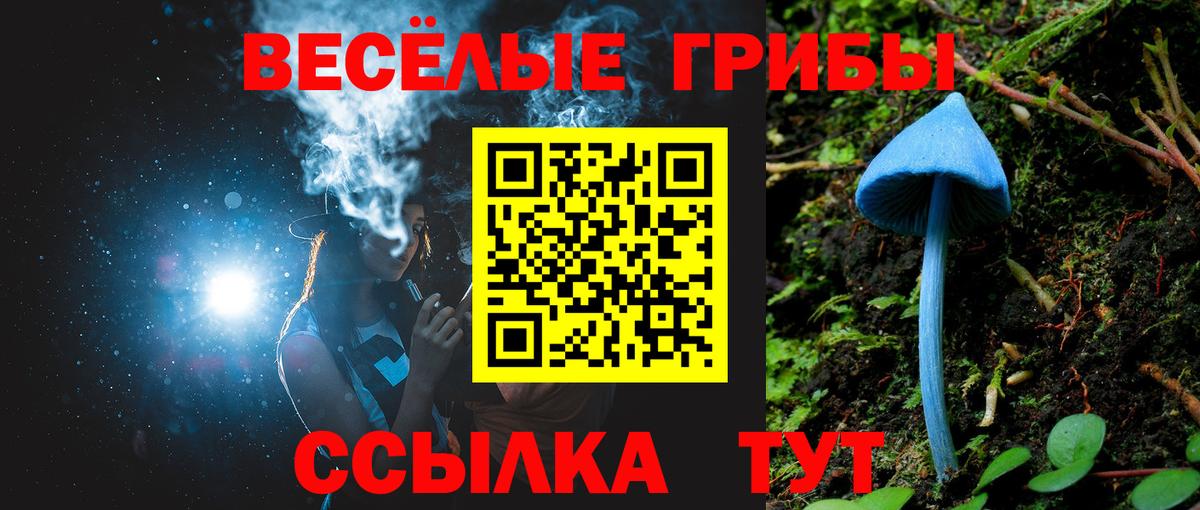 магазин  наркотиков  Галлюциногенные грибы Cubensis  Вход с VPN  Красноармейск 