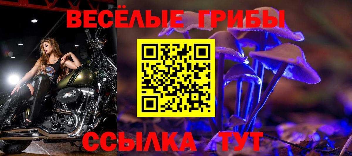ГАШИШ Красноармейск